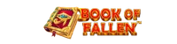 Book Of Fallen